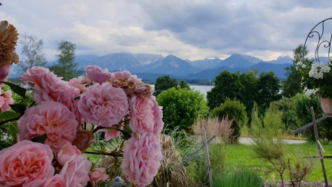 Landhaus Amberg Hopfen Am See // Hopfensee // Fuessen Eksteriør billede