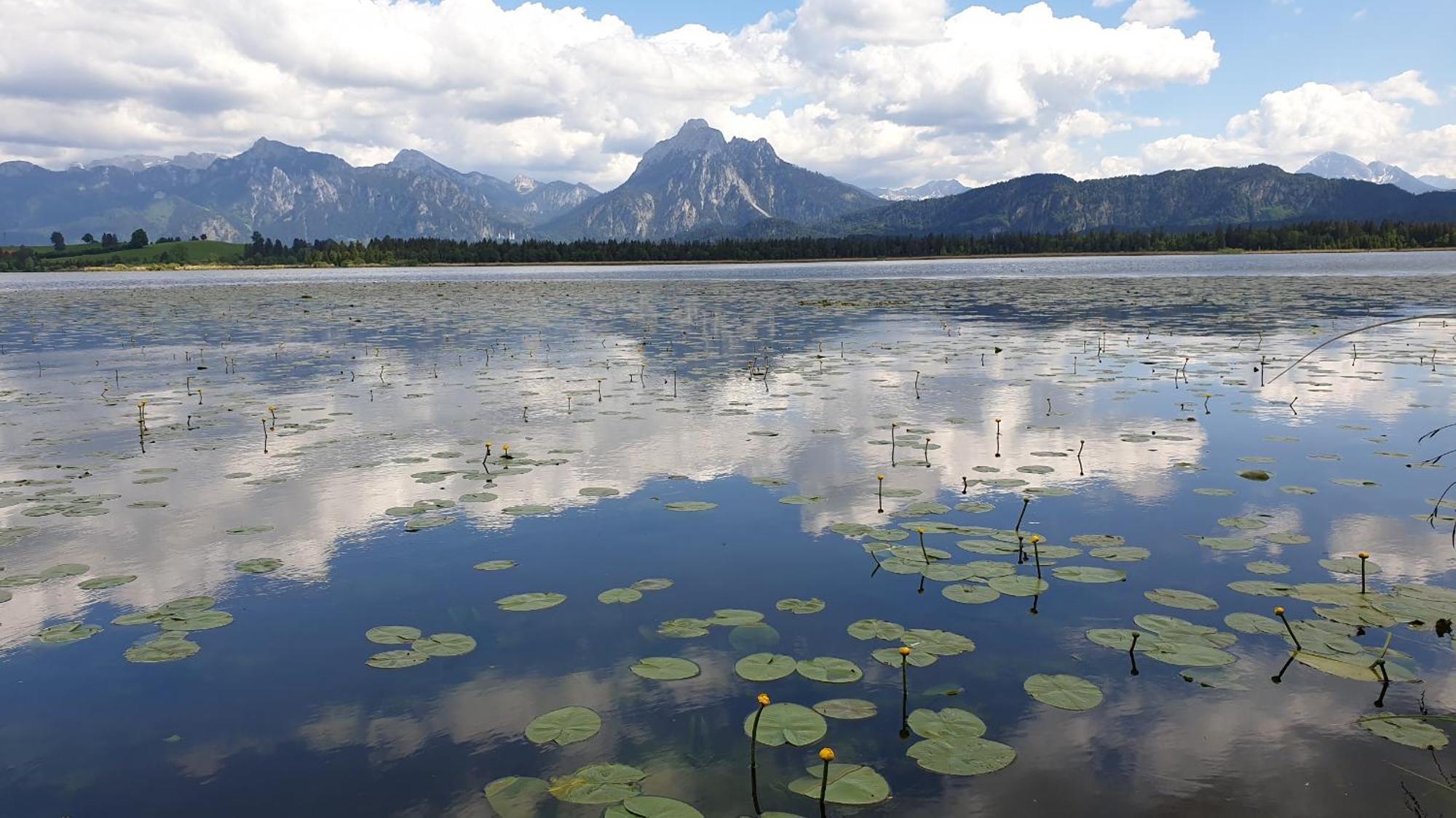 Landhaus Amberg Hopfen Am See // Hopfensee // Fuessen Eksteriør billede